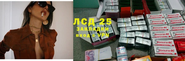 гидра Рославль