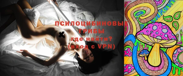 гидра Рославль