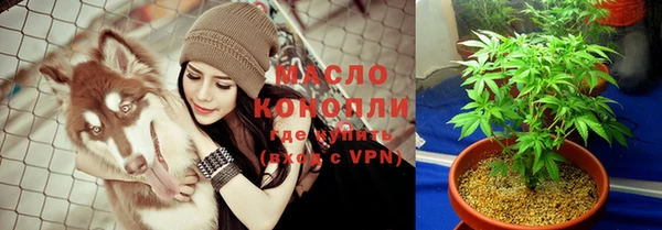 гидра Рославль